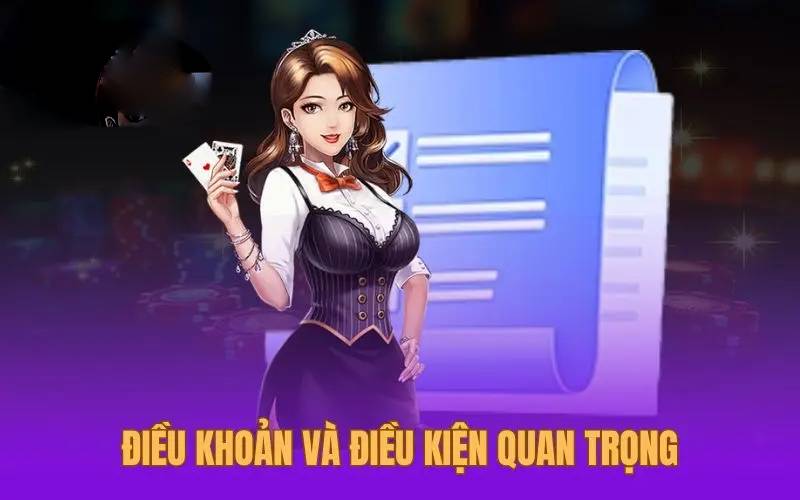  điều khoản sử dụng VB777