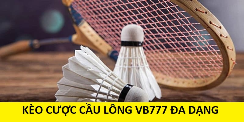 Kèo cược cầu lông tại VB 777 đa dạng