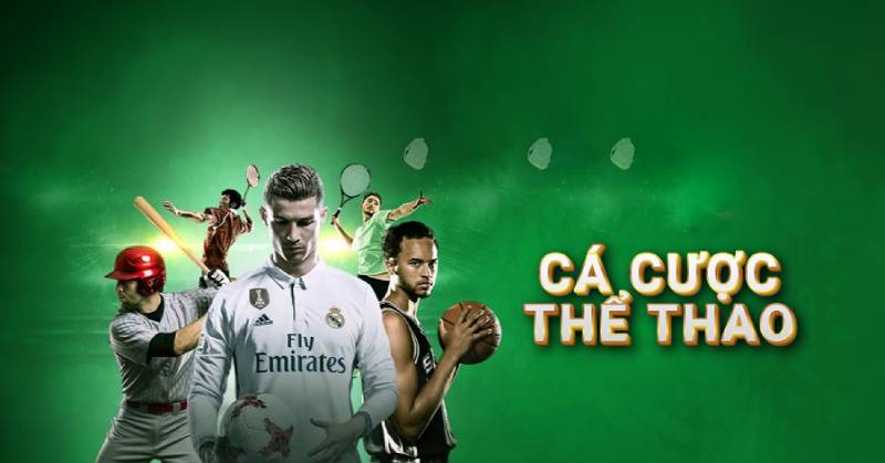 Sảnh cá cược thể thao VB777 