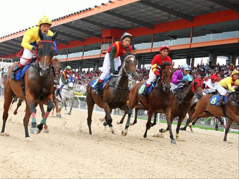 Cá Cược Đua Ngựa VB777 – Cảm giác thăng hoa, rinh tiền thưởng khủng 2 Các loại kèo Cá Cược trong Đua Ngựa