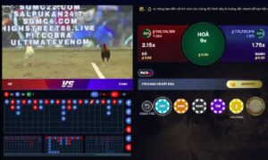 Đá Gà GA28 cá cược đá gà trực tuyến được ưa chuộng